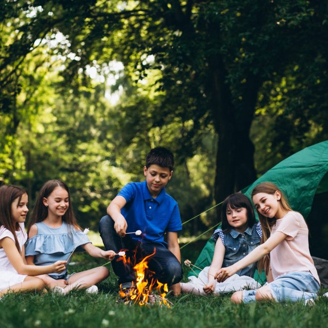 Group of kids in forest by bonfire with mushmellows