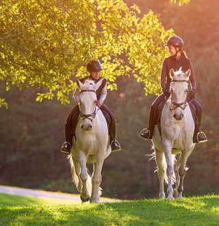 Two young women enjoying riding white  horses on meadow near forest.